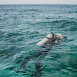 Diving on Roatan