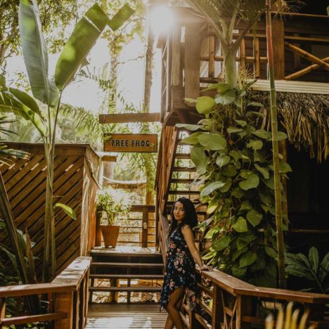 Tranquilseas Hotel Resort Roatan - Free frog